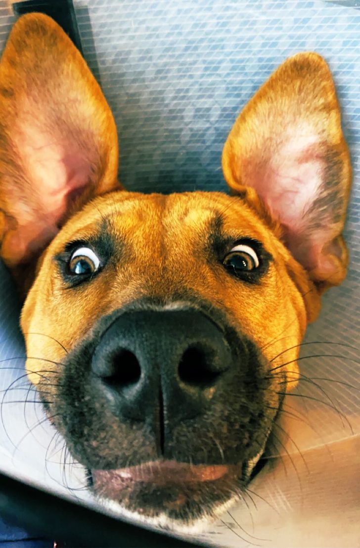 0c365259c197549b42e1d7dcf8