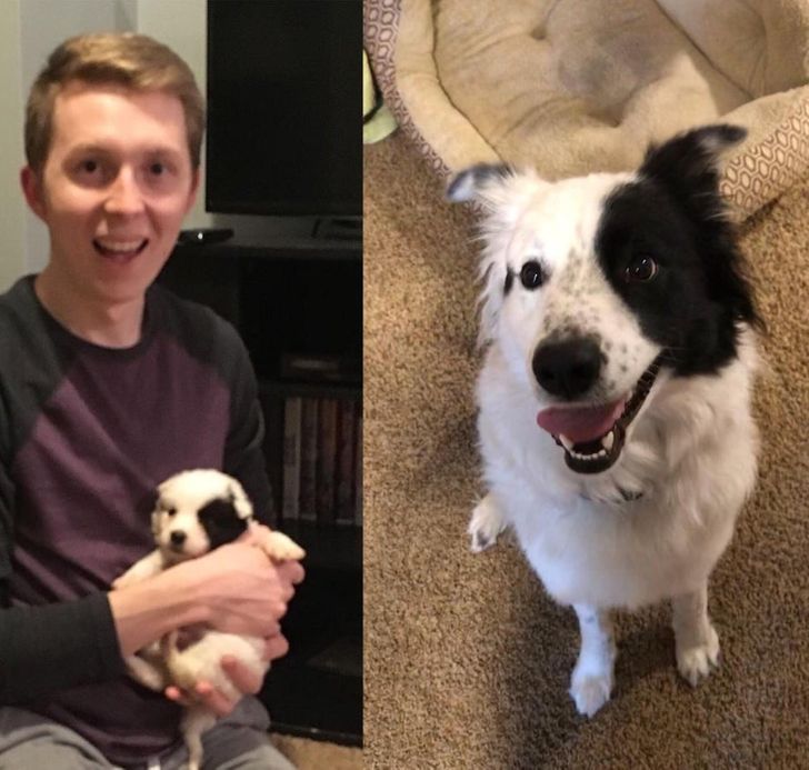 0c45be5a3aa22cb5a12ecd6797