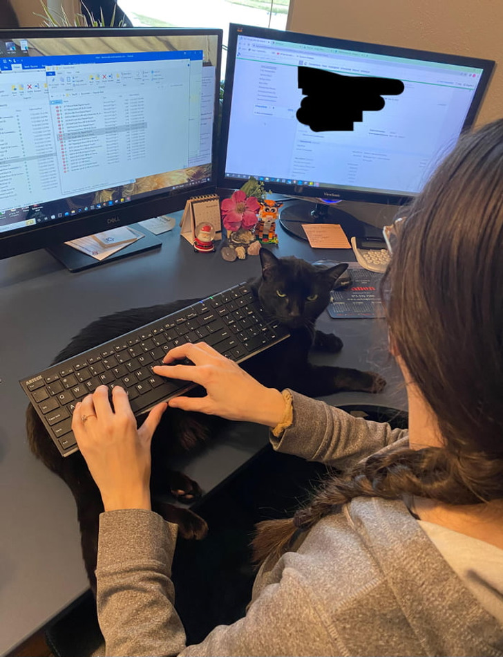 0c4a335db28b704e674335b683