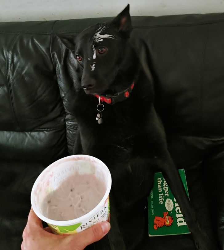 0c596a5d0a98cece74c84bac11 0c596a5d0a98cece74c84bac11