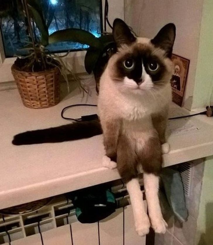 0c5b7d50dcb498331f106d0452