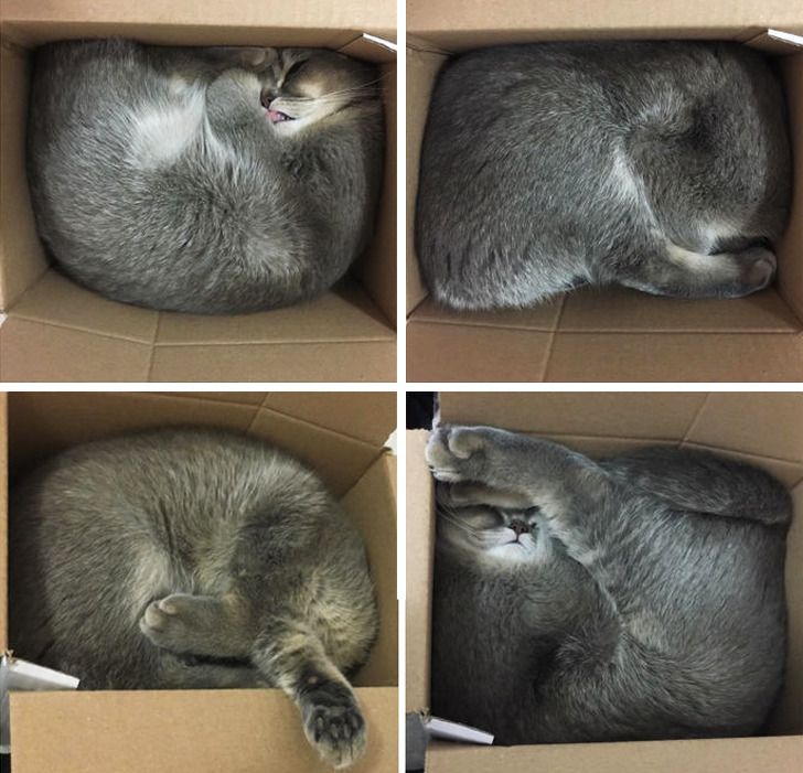 0c61185a14afc07b0d2e2176e0