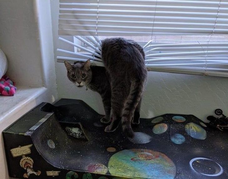 0c62c95cd5bec1f5215a681911