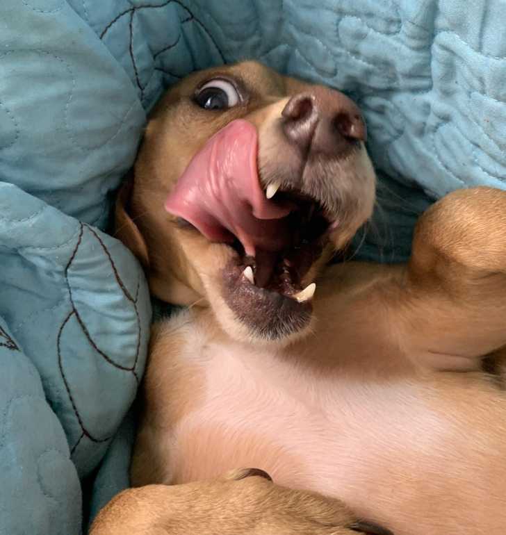 0c6c3e57ad9513eb1e296bb09e