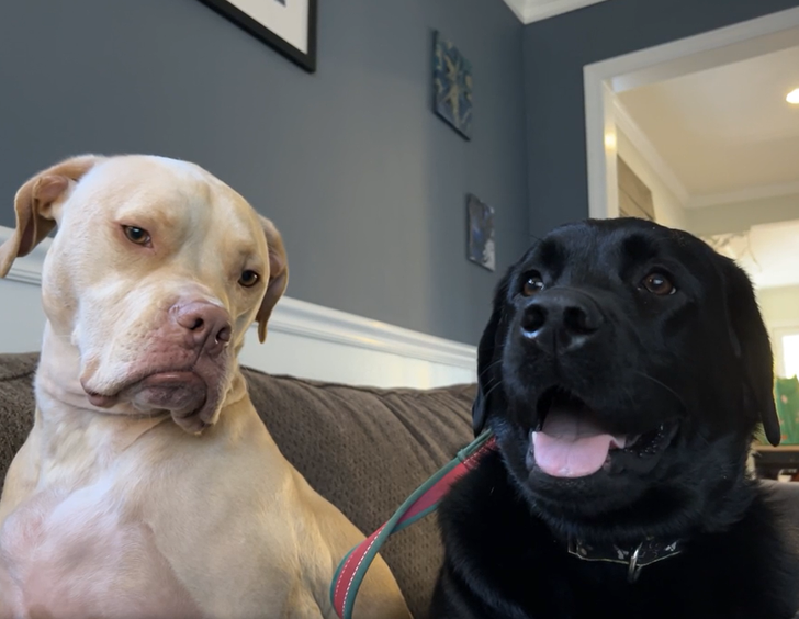 0c6caa56049053175c39451fa9