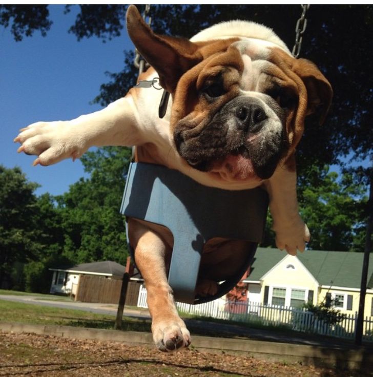 0c7861511983e6ee5a1e990b2c