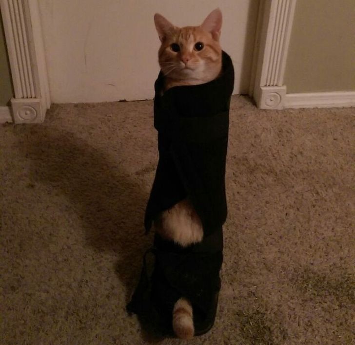 0c7c3859f4a0629fa91f55ee0f