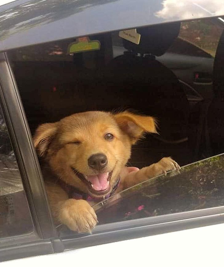 0c7cbb5ea1af35eec8bb174b97