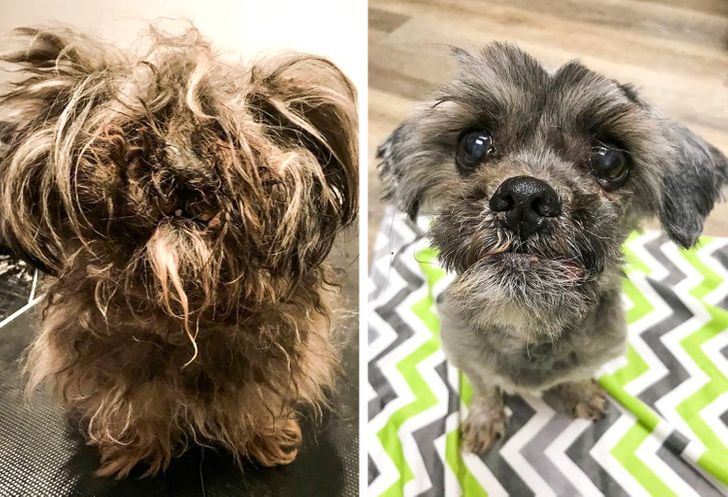 0c834d5139a9ea477eb28b9191