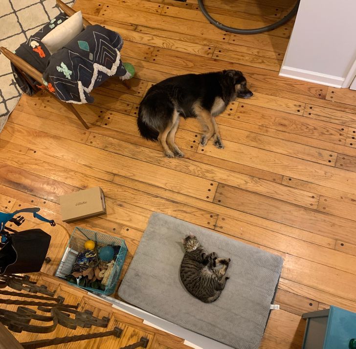 0c841252c28c491302c63ca2d0