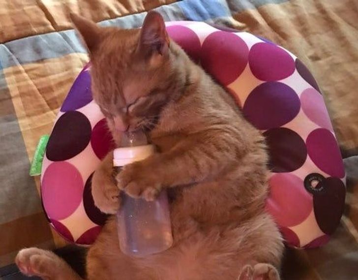 0c8eb658c2b99e50f8f29d8fb6