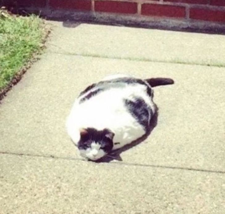 0c923f5e57bedebc2569c09194