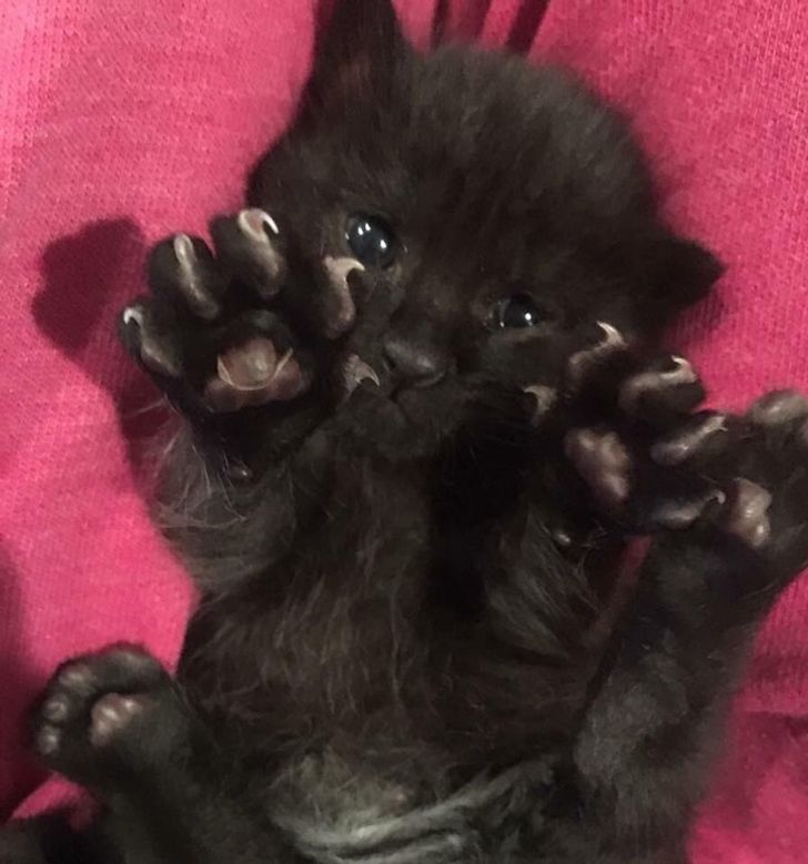 0c95f35487bfb2bd1177b3be98