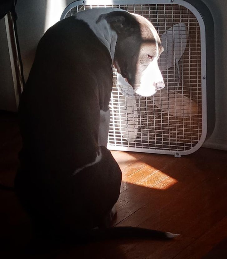 0c966f5600b39ce78fa0bd0a27