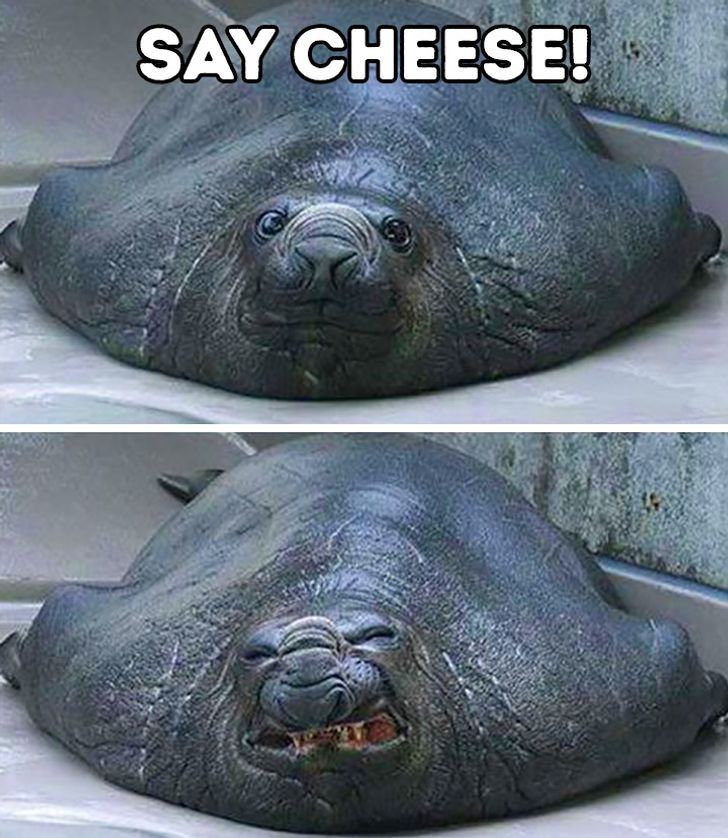 0c9cdf5be6a15eec57e44a1f2d