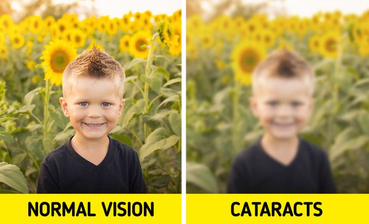 0c9cf85bb3b848c9445c147e4d