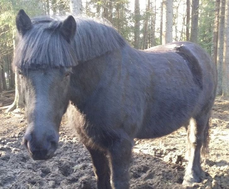 0c9ded58b28179eac26379d7ae