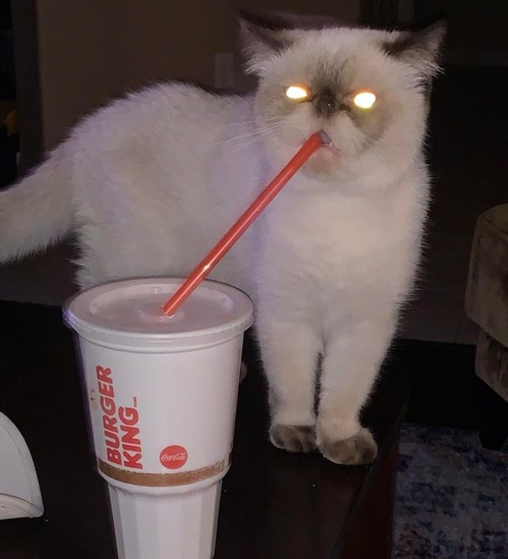 0ca61058f294c248d19f47d7ea