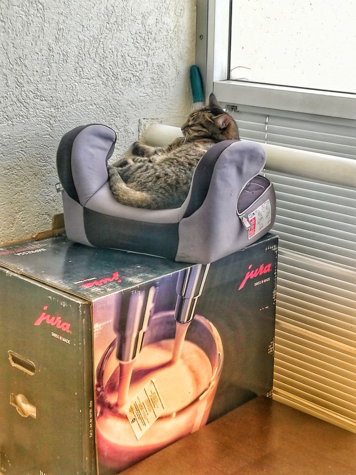 0ca67f56ed90f9d82fe4afe559 0ca67f56ed90f9d82fe4afe559