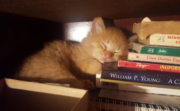 0ca78055e1976ccd2fcf7f8008