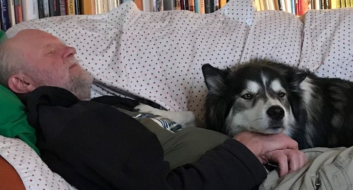 0ca8795c51b65ba762e4145251