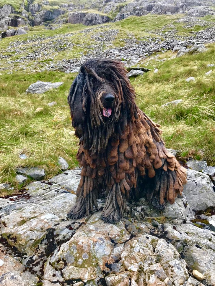 0cac7d57929e11c3568dcb96e4