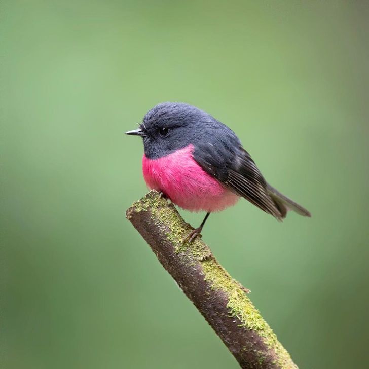 0cacc95083a7ab109f01959149