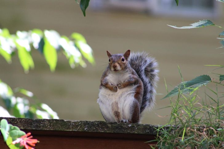 0cb2aa5f8ba0ee3545371c6695