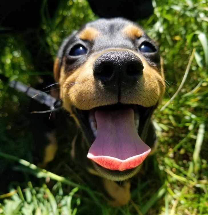 0cbaee54f5813fb1fc5a8acccc