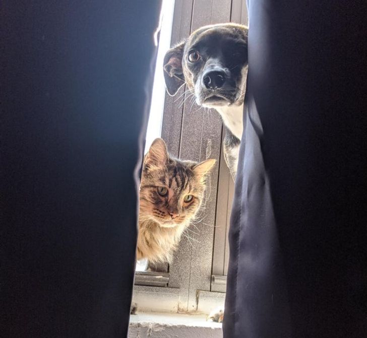 0cbf095f478dd87b1b7d5af73f