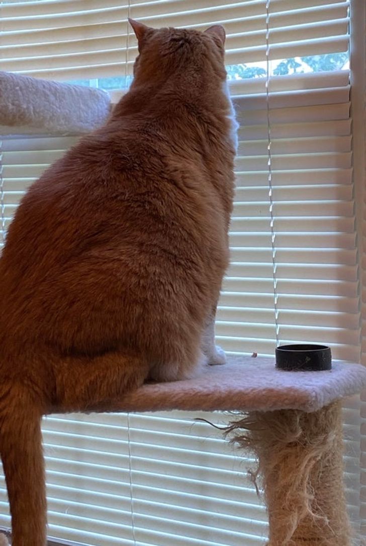 0cbffa5ef1ad1f4110c41e96ac