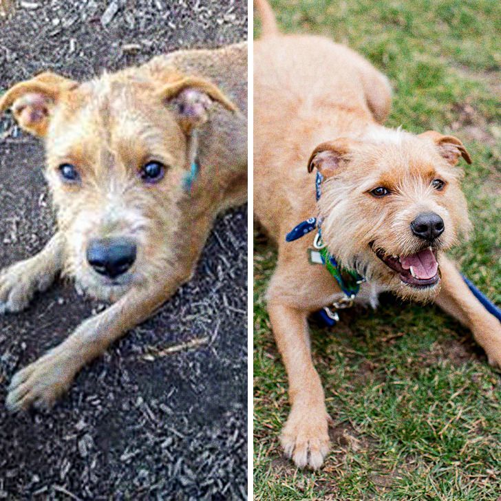 0cc3bb52b3b9b377db868d2693