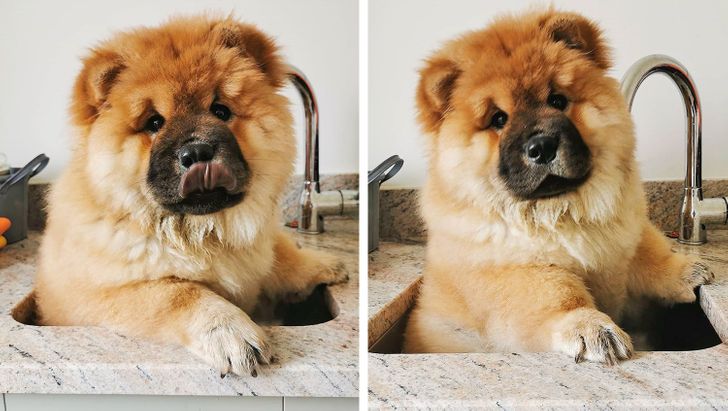 0cc460593ca78370ed0daa4cd2