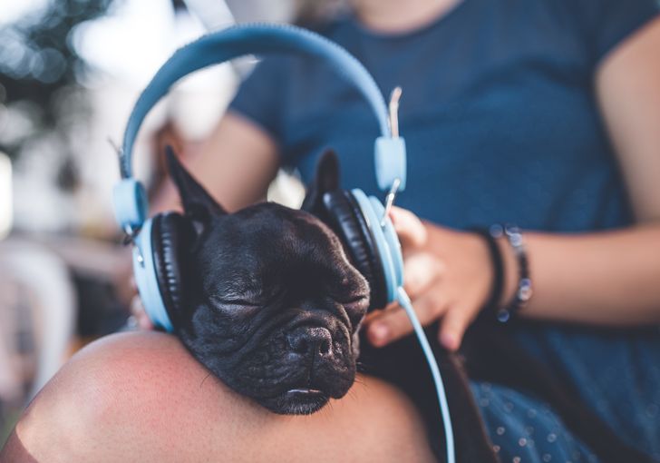 0cc52c51a183c37f959b6c489d