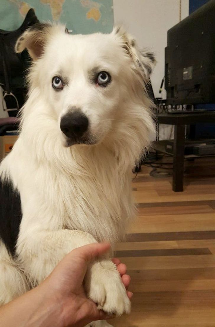 0cc83857a5ab088ce67c516fbf