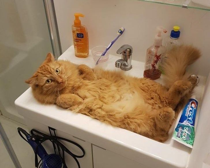 0cced55114a178de33d0870da7