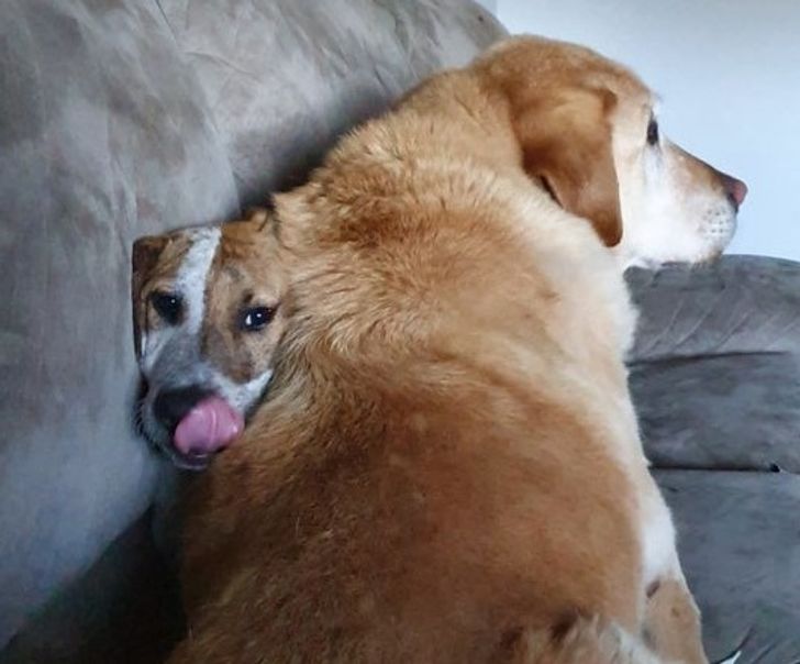 0cd4185a6fb142a690eb4ba3ac