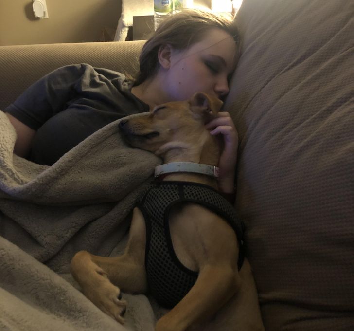 0cf3115412b7906bf2d14d68e8