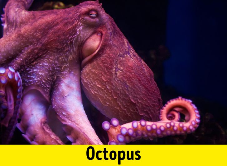 0cf5da55b8a49fe6a1b0350c8f