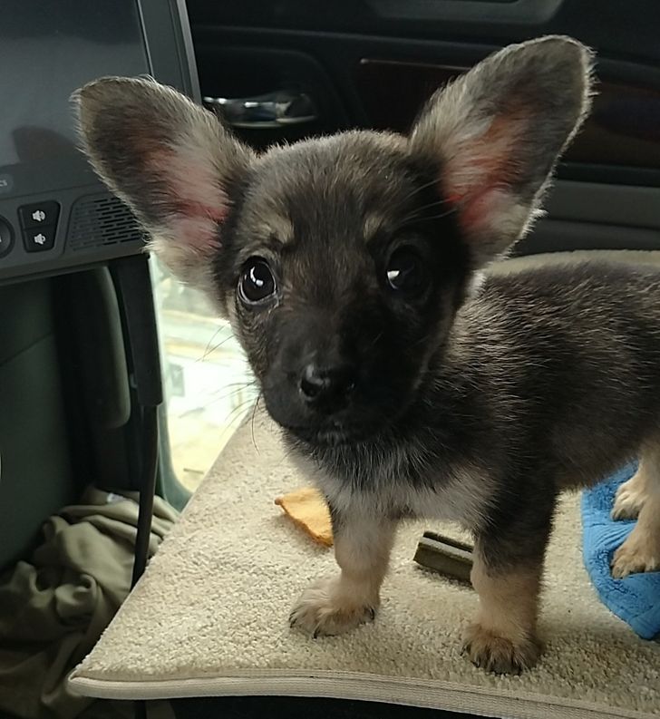 0cfb5c5bb9b8e9571ce36899f3