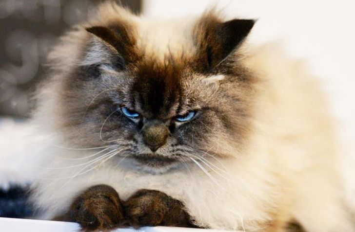 0cfd7351d899bf26d16e49bedb