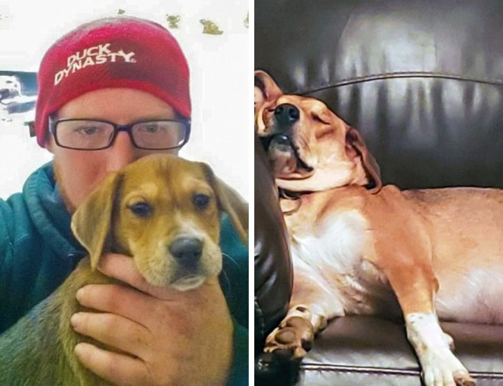 0cfded5bb0991de59d6de2eba3 0cfded5bb0991de59d6de2eba3