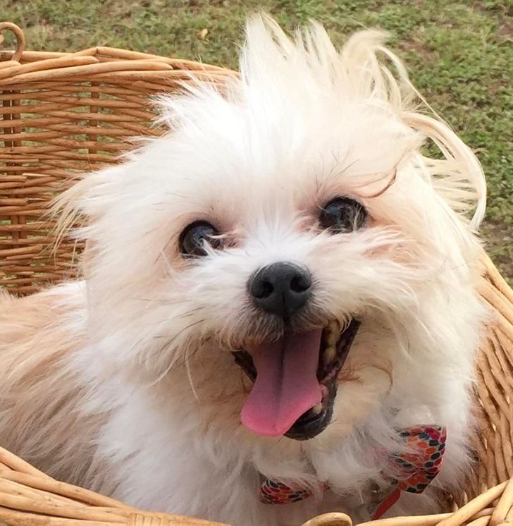 0d06c8578a857fb2b98d460e18