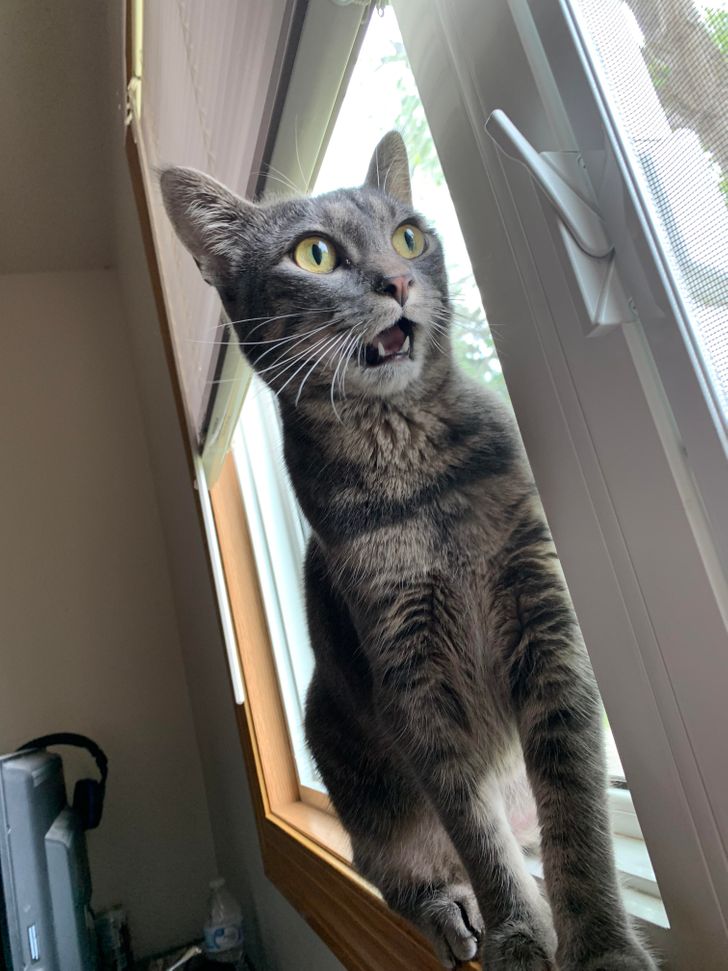 0d091859f8b1497036fa4cc027