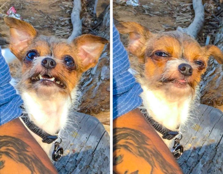 0d15ea57f1b6ce2fc5e874ed78