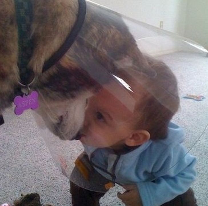 0d17de5a9b97b210a2e0927e89