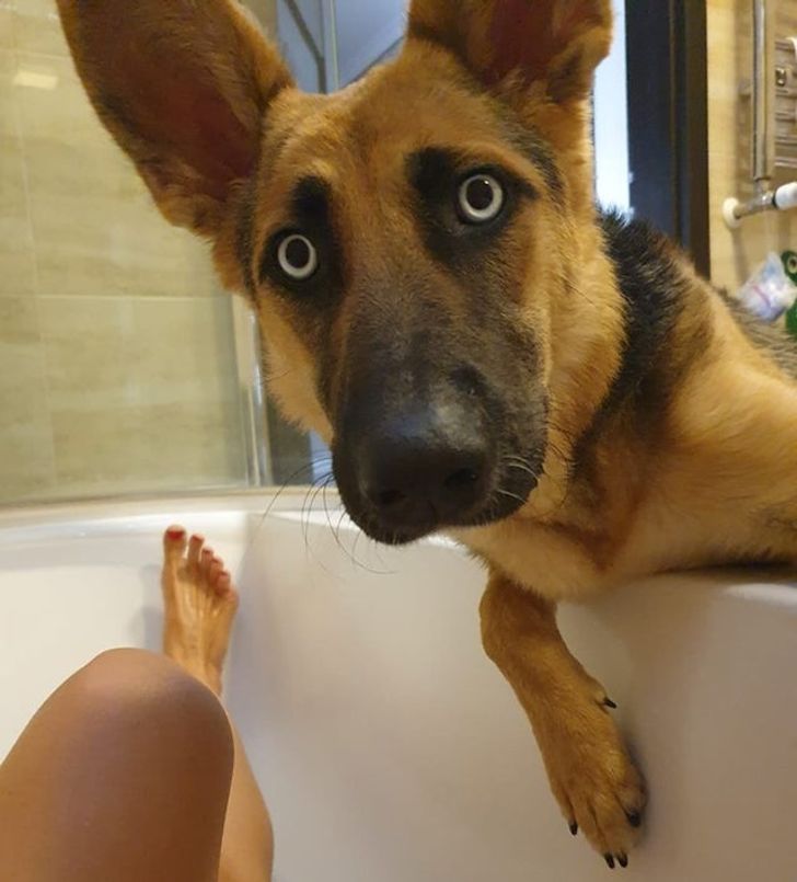 0d1a7d58288ddaccf3dc8a94e6