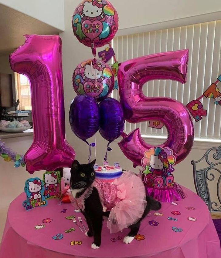 0d22ff5589a20bd7dba2147053