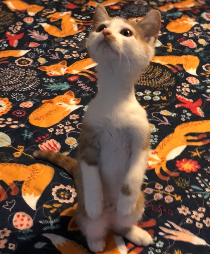 0d25765a99bf97558d6cc3fb12