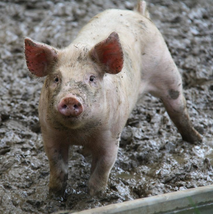 0d281c52e1bfe381fe88aac4c9